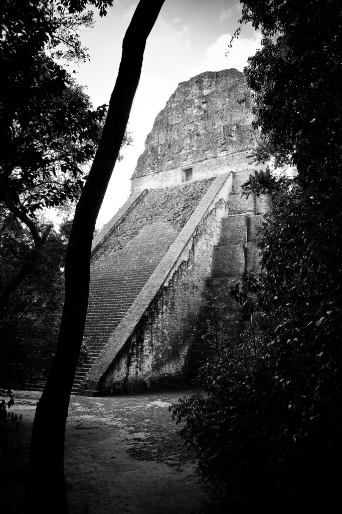 Tikal Pyramid